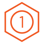 ICON 1_orange_big