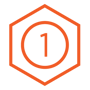 ICON 1_orange_big