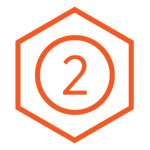 ICON 2_orange_big
