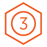 ICON 3_orange_big