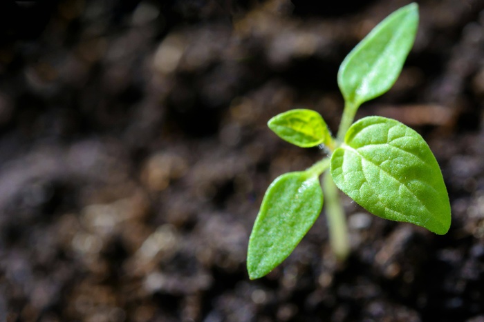 enviroment impact-1