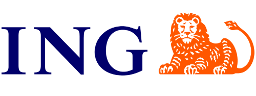 ing logo na strone-1